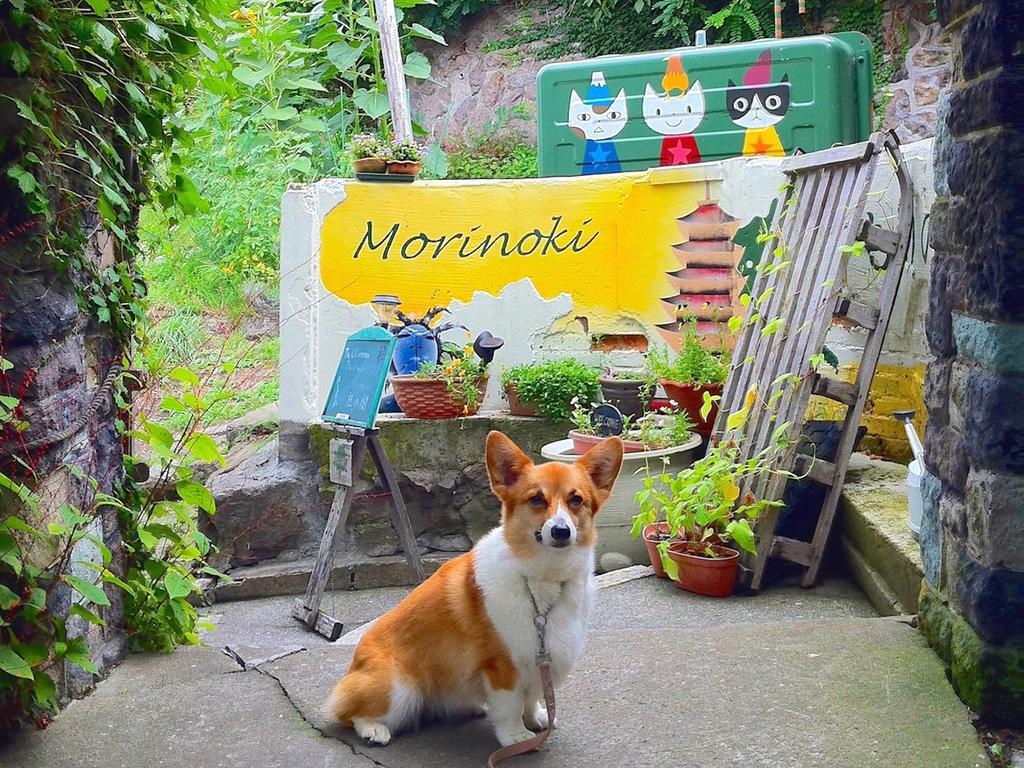 The Otaornai Backpacker'S Hostel Morinoki Otaru Buitenkant foto